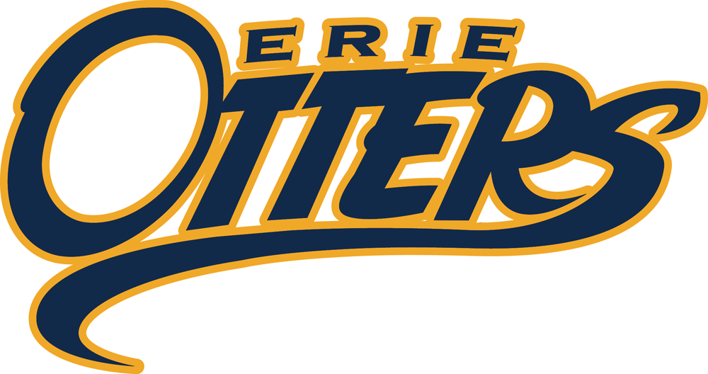 Erie Otters 2016-2019 Primary Logo iron on transfers for T-shirts
